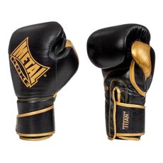 MBGAN400N12-Boxing Gloves Titan