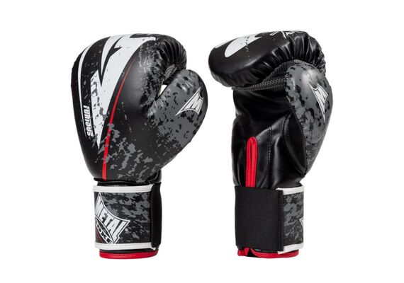 MB481F10-Boxing Gloves Furious