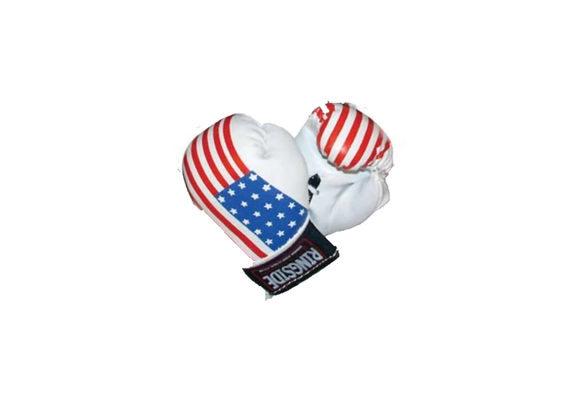 RSMBG USA-Ringside Miniature Bag Gloves