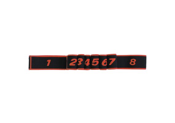 GL-7640344751287-Polyester elastic band with different resistances | Red