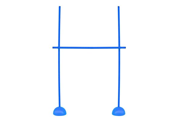 GL-7640344753816-Plastic posts with studs and stakes for training | 3 PIQUETSBlue