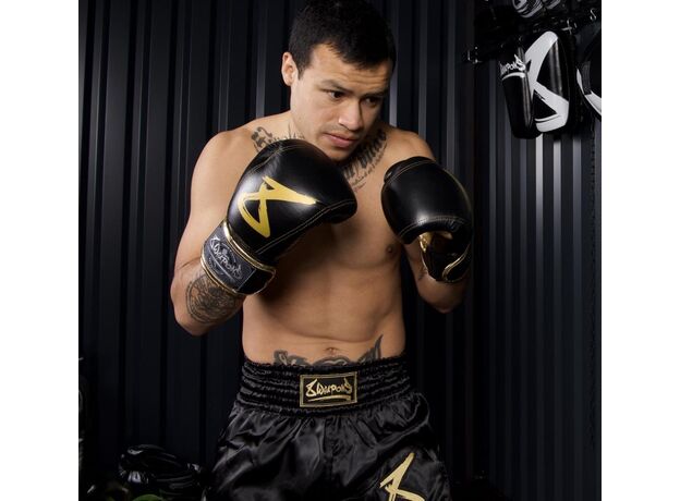 14 oz 12 Boxhandschuhe Kickboxen MMA Training Boxen Handschuhe Muay Thai 10 